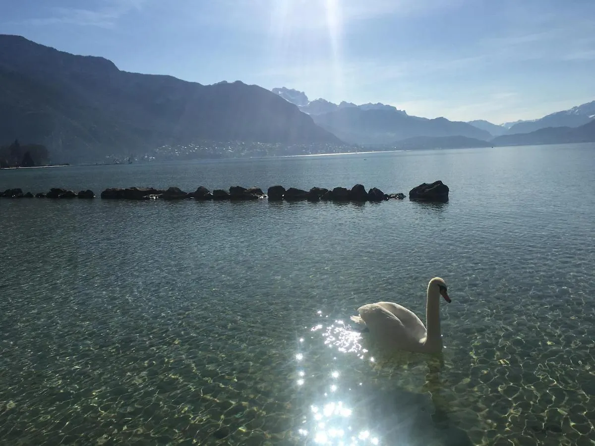 Vieil Annecy- L'Edelweiss- Appartement Frankrijk